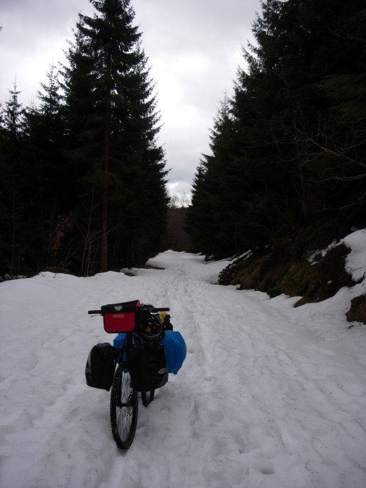 Pushing through the snow