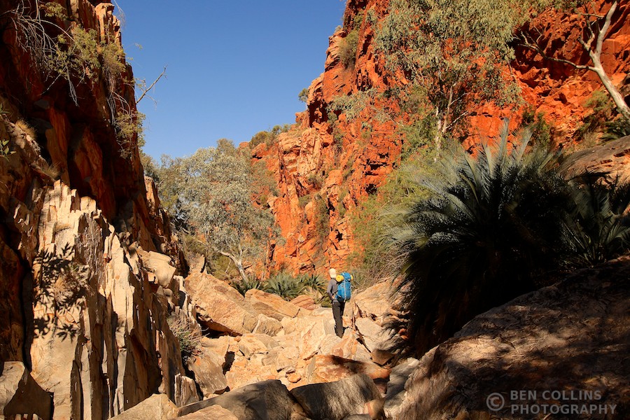 Trekking through the Inarlanga Pass, Larapinta Trail, Australia