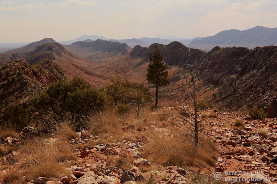 Spectacular views back west along the Heavitree Range from Counts Point lookout, Larapinta Trail, Australia