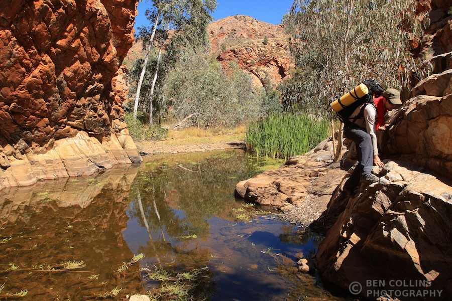 Trekking through Hugh Gorge, Larapinta Trail, Australia