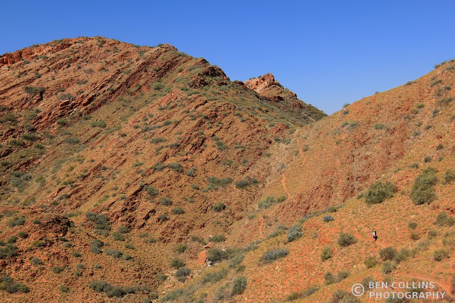 Traversing through the Chewings Range, Larapinta Trail, Australia