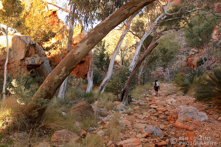 Approaching Standley Chasm camp, Larapinta Trail, Australia