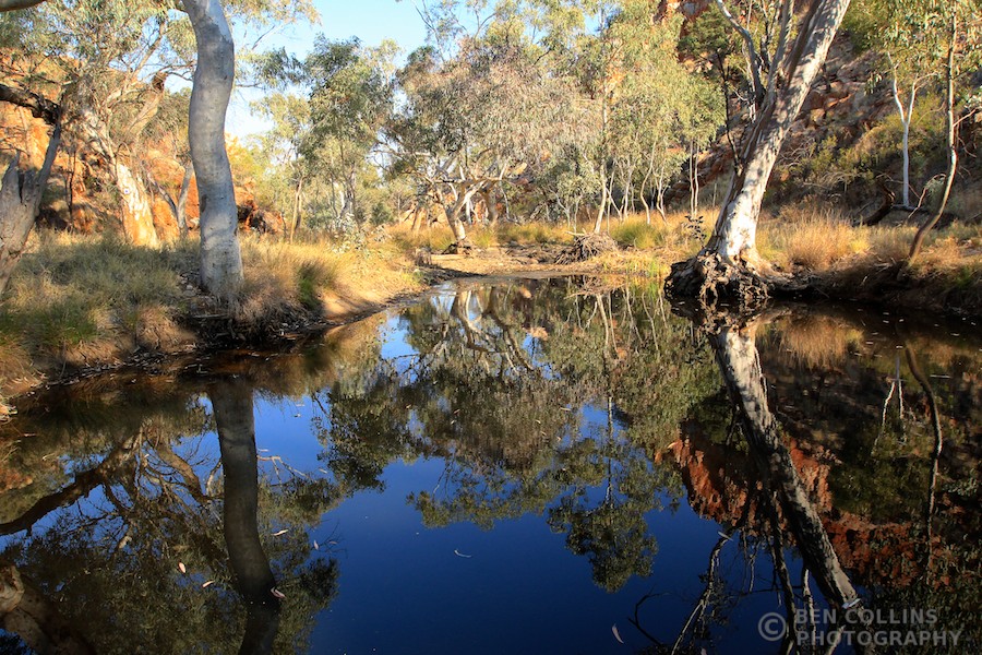 Reflection in a water hole