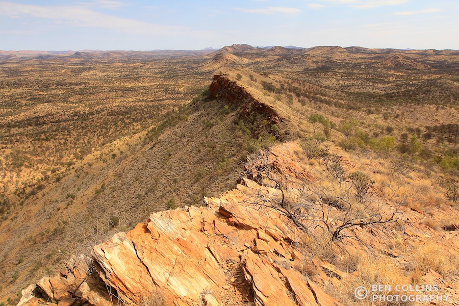 Euro Ridge, West McDonnell range, Australia