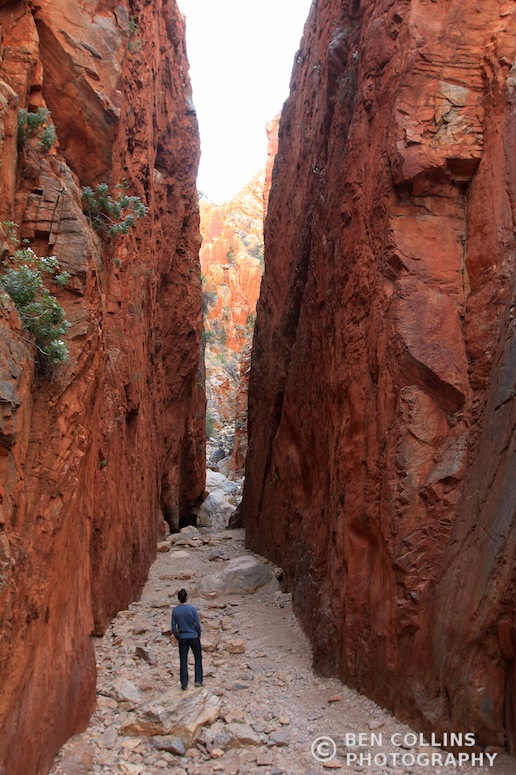 Standley Chasm, West MacDonnell Range, Australia