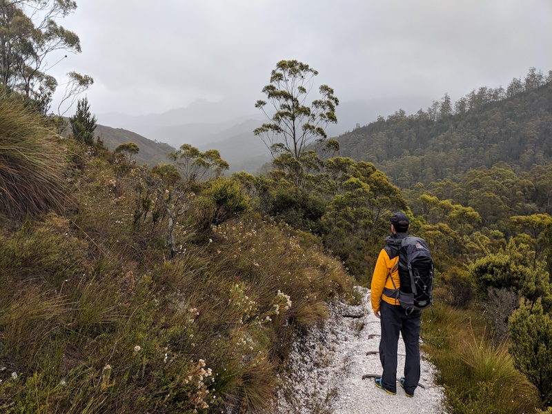 Frenchman's Cap trail near Franklin River