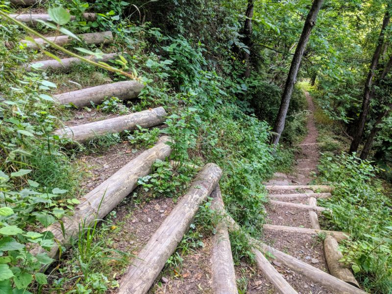 IMG_20190627_065749 (1)