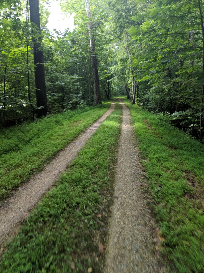 MVIMG_20190708_170450