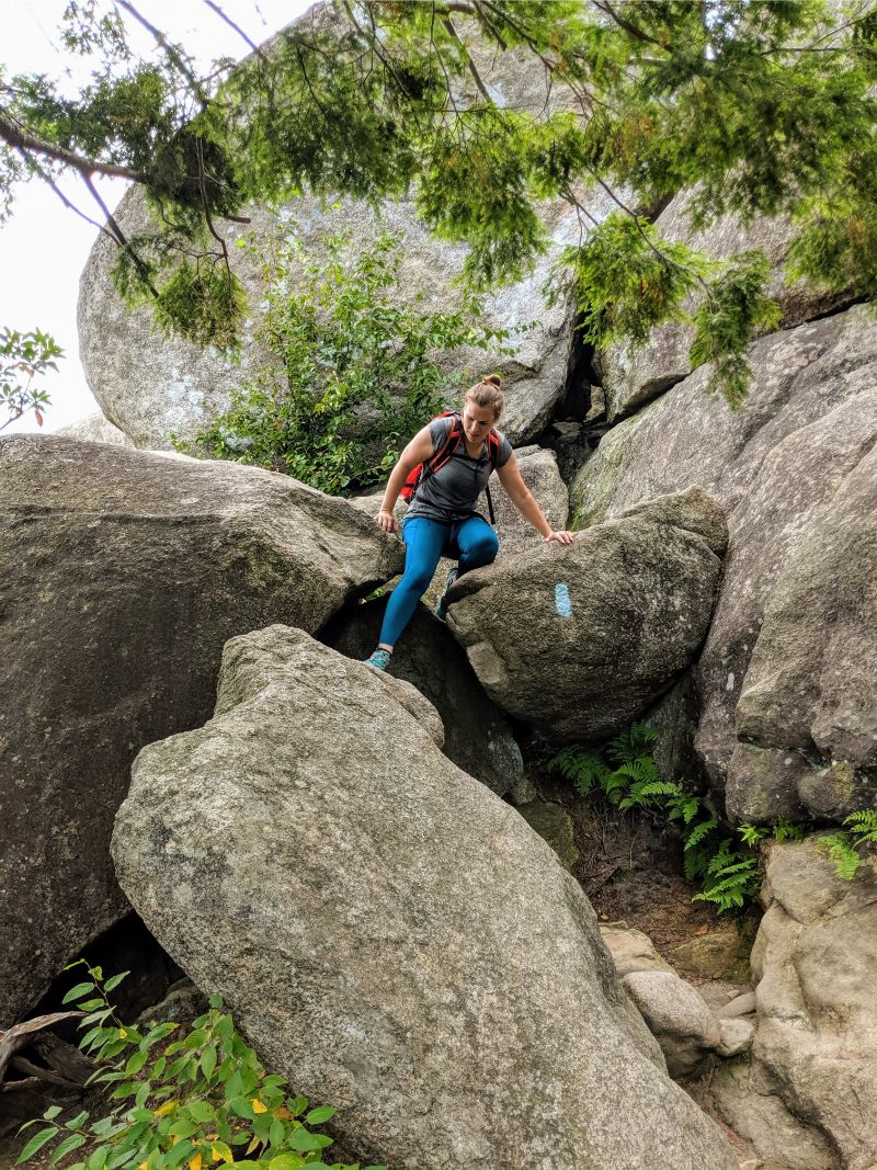 IMG_20190805_101156 (1)