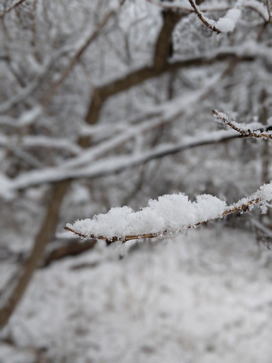 00100dportrait_00100_burst20200107151344505_cover