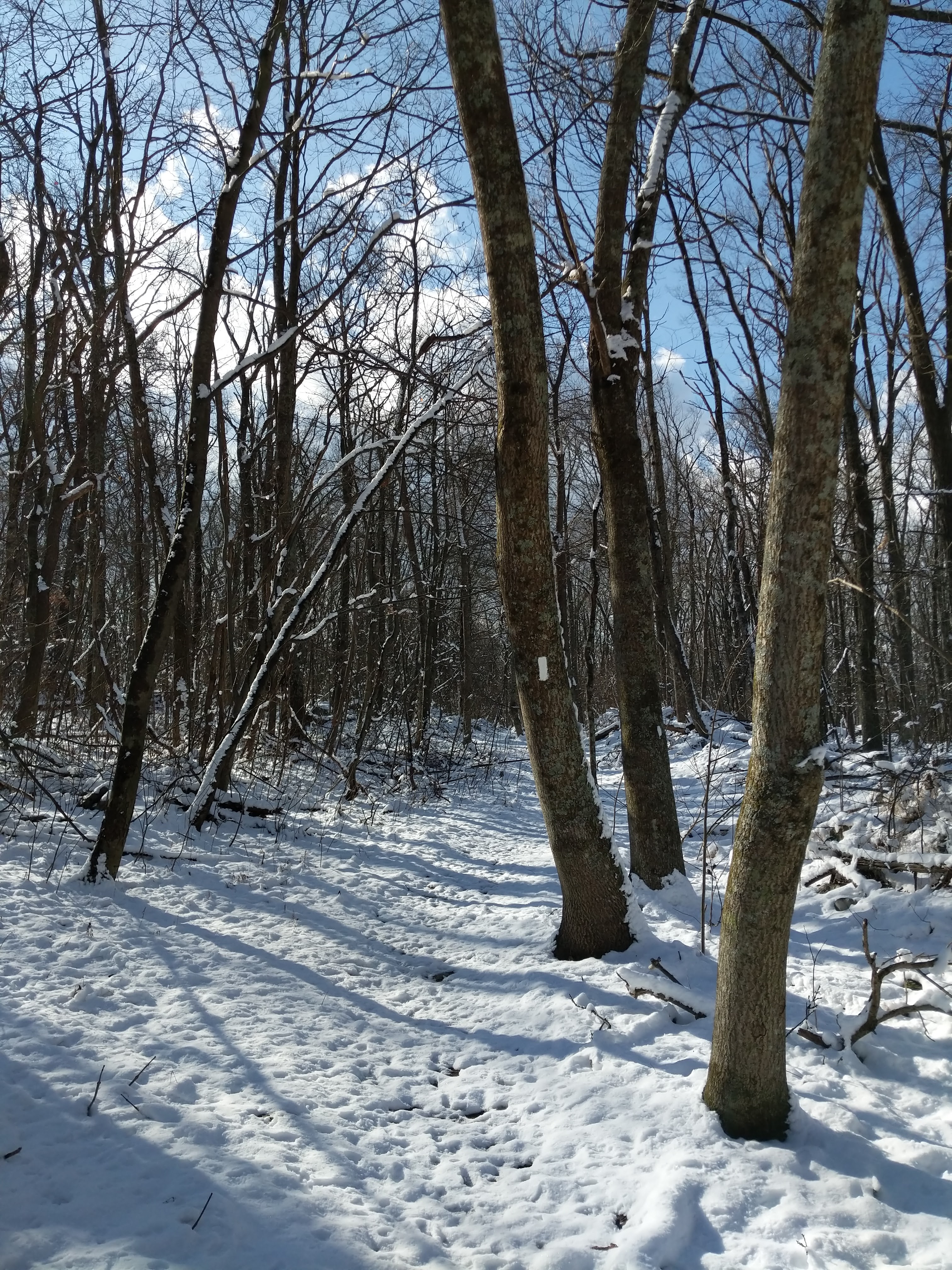 img_20200108_113131